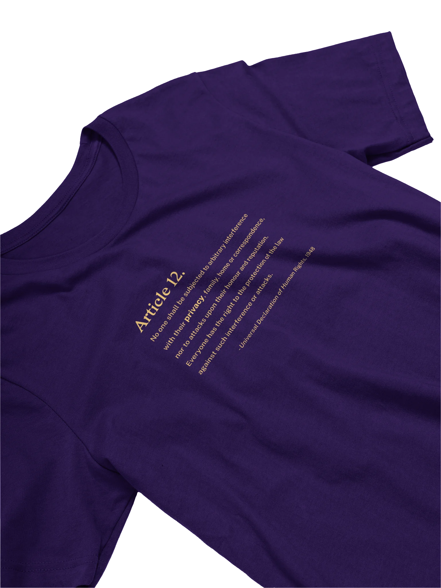 Article 12 - Supersoft T-Shirt (Bella+Canvas) product image (2)