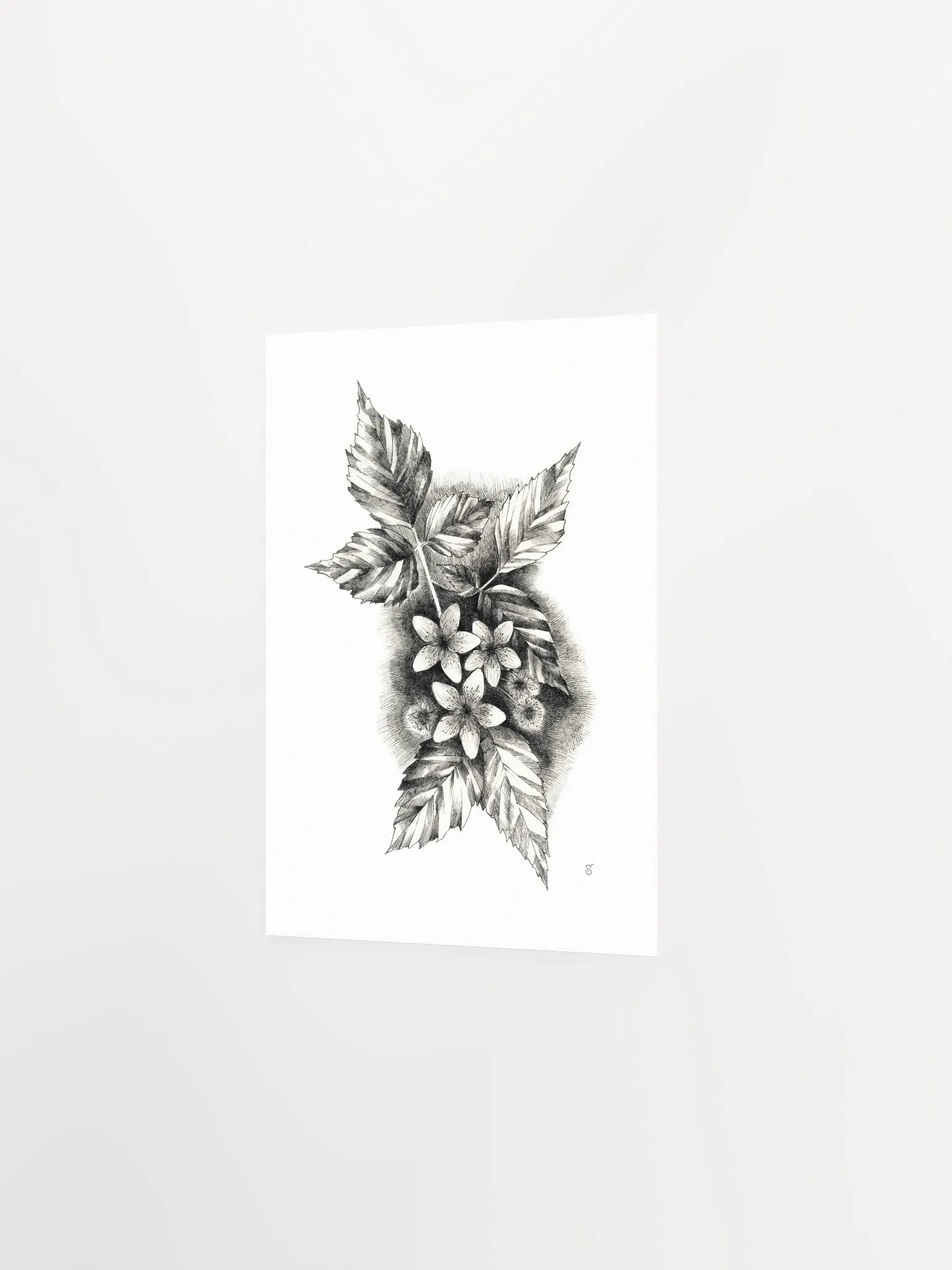 Botanical Bliss Matte Poster - Jasmine product image (2)