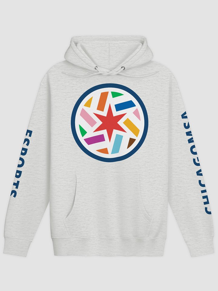 New CMSA Logo Hoodie product image (2)