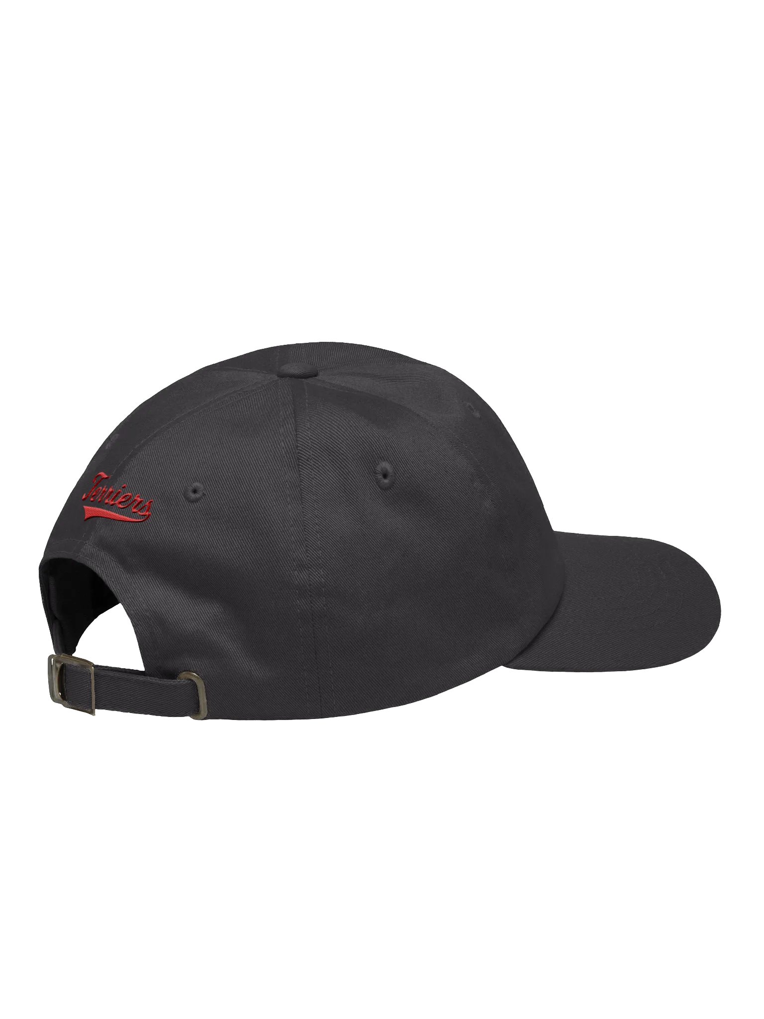 Cambridge Terriers Dad Hat product image (13)