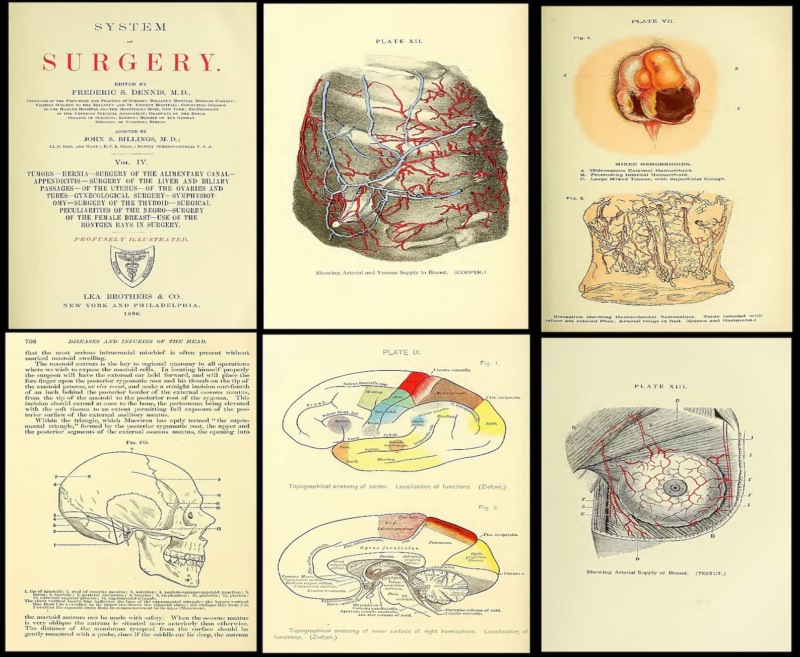 280 Rare Medical Books product image (5)