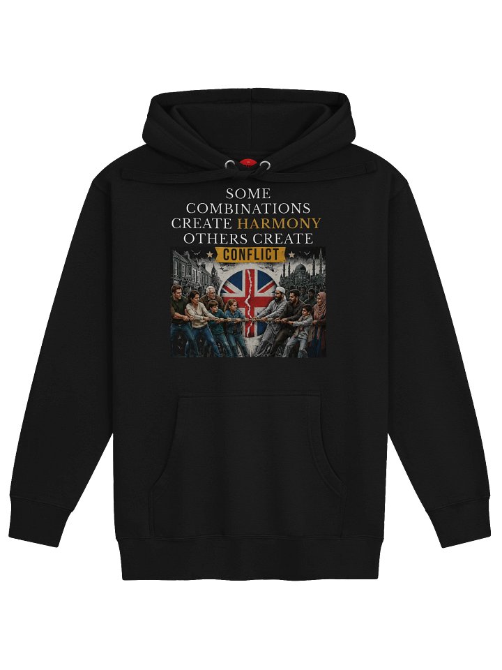 Harmony or Conflict Graphic Hoodie product image (2)