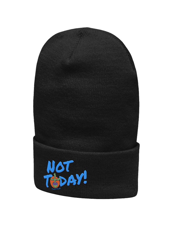 NT Cuffed Beanie product image (22)