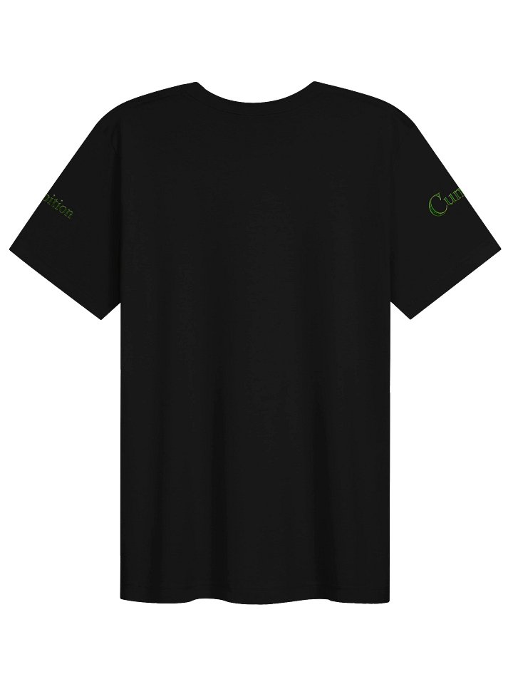 Vintage Wizarding House Collection – Proud to Be Slytherin T-Shirt product image (2)