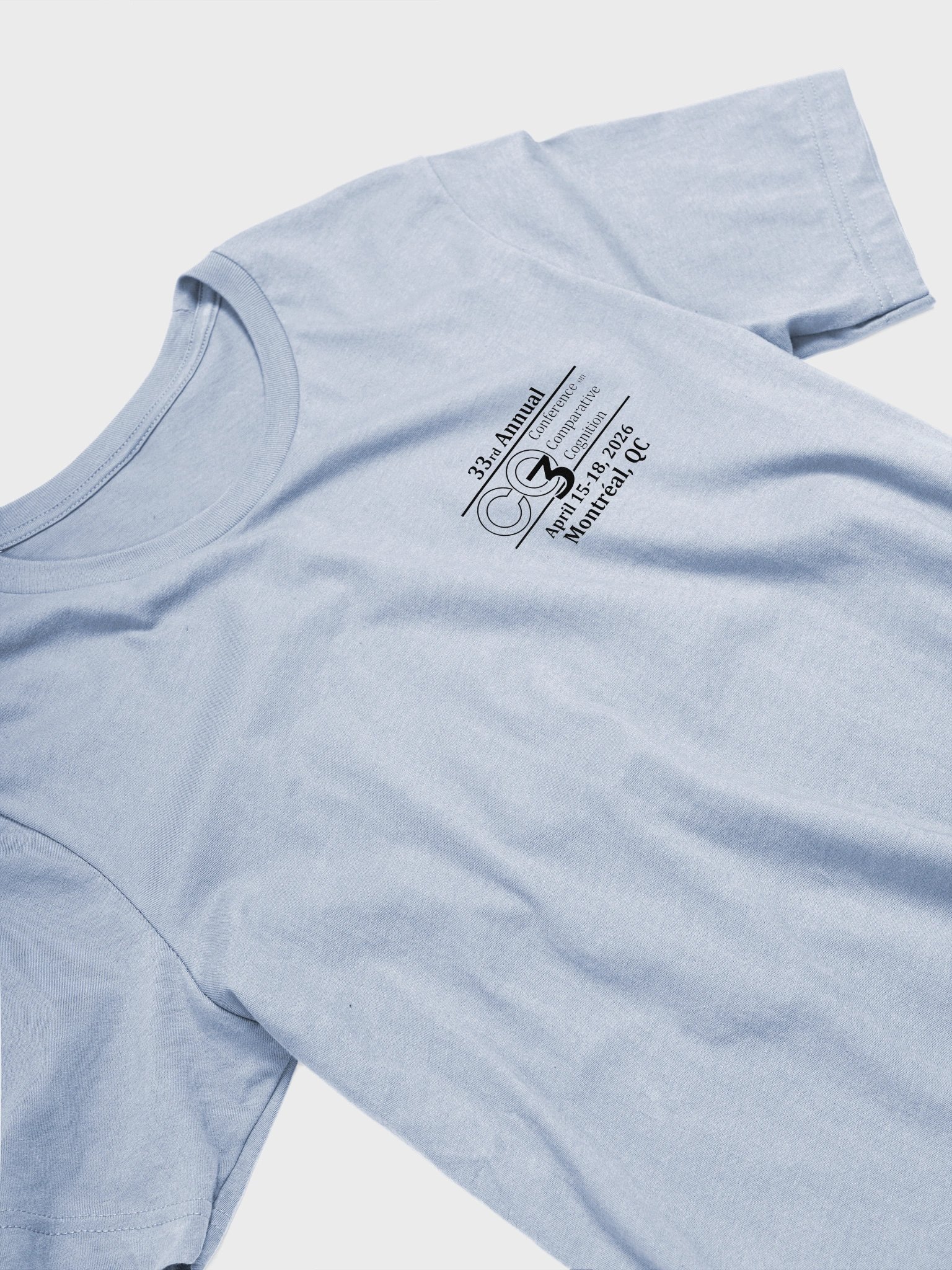 2026 CO3 tee (Pigeon) product image (3)