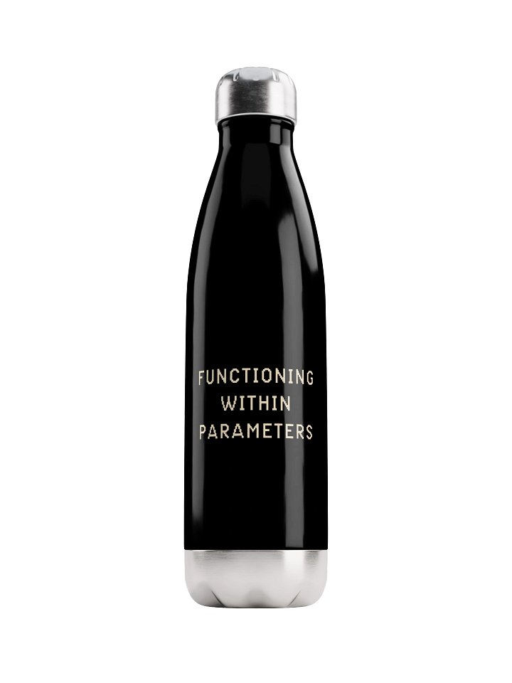 Functioning Within Parameters Water Bottle | Chronic Illness Hydration Bottle product image (1)