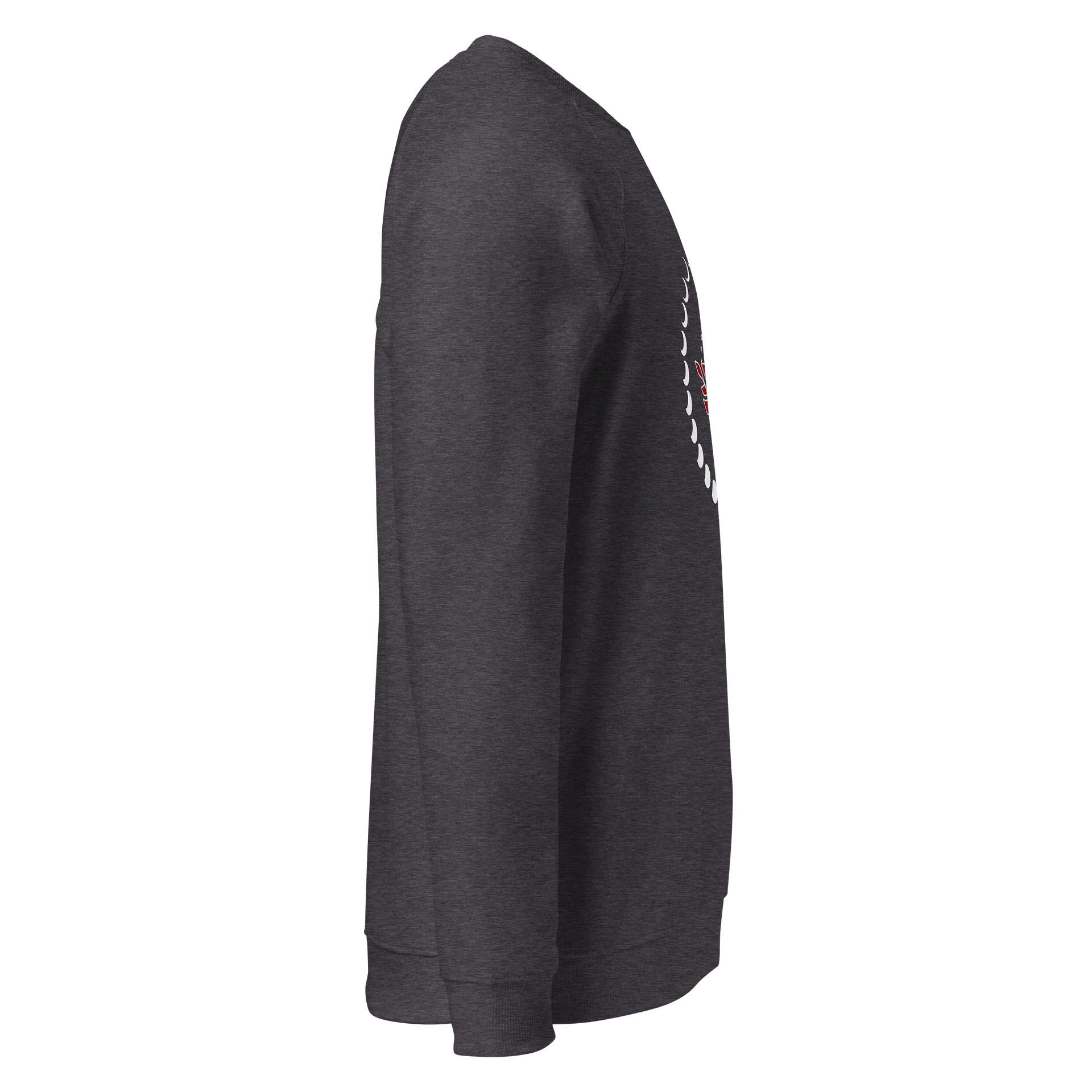 Organic Cotton Sweatshirt Mystic Moon Blooming Rose product image (12)
