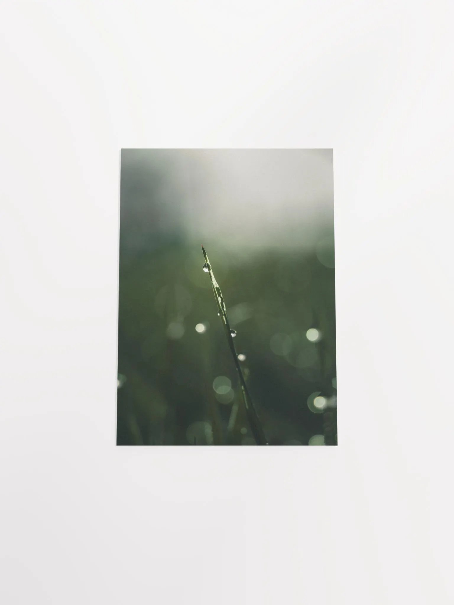 Lonely product image (13)