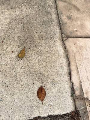 Sombody out here Making Mating calls on the workout I’m out ✌🏾it’s too close to Halloween for this 🎃