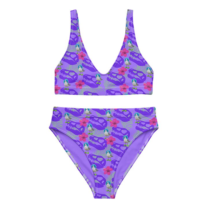 Hot Gull Summer High Waisted Bikini product image (1)