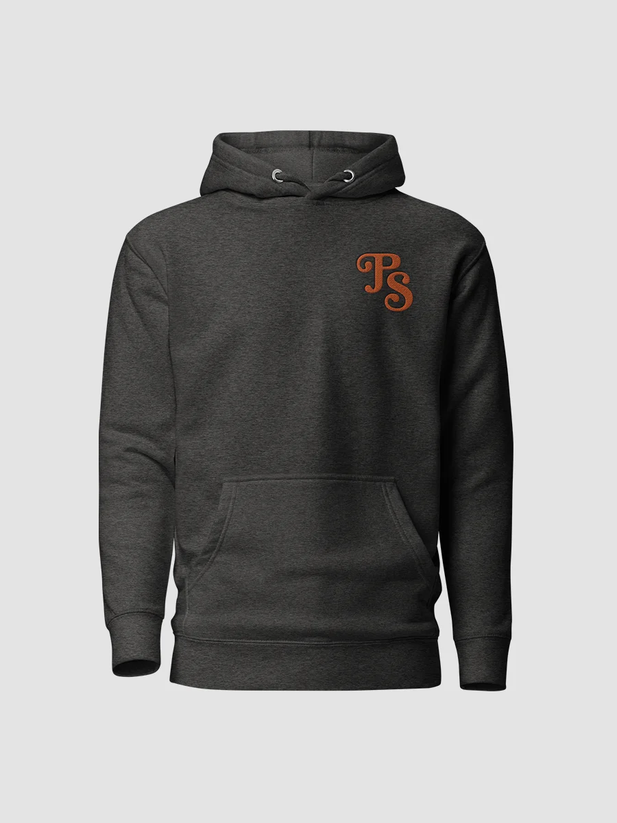 Popular Science Retro Logo Embroidered Hoodie product image (3)