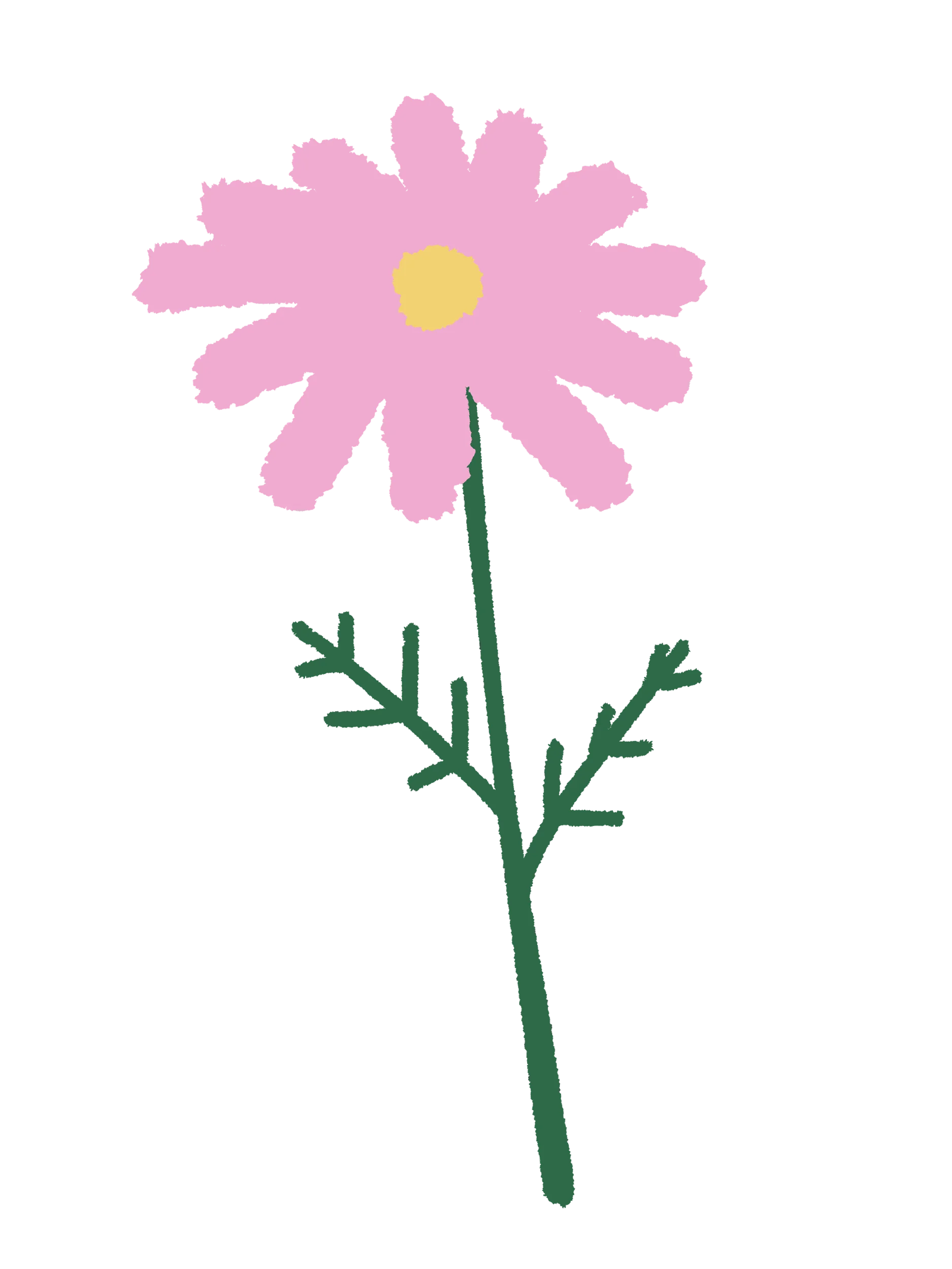 20 Hand-Drawn Flower & Botanical PNG Clipart Bundle product image (12)