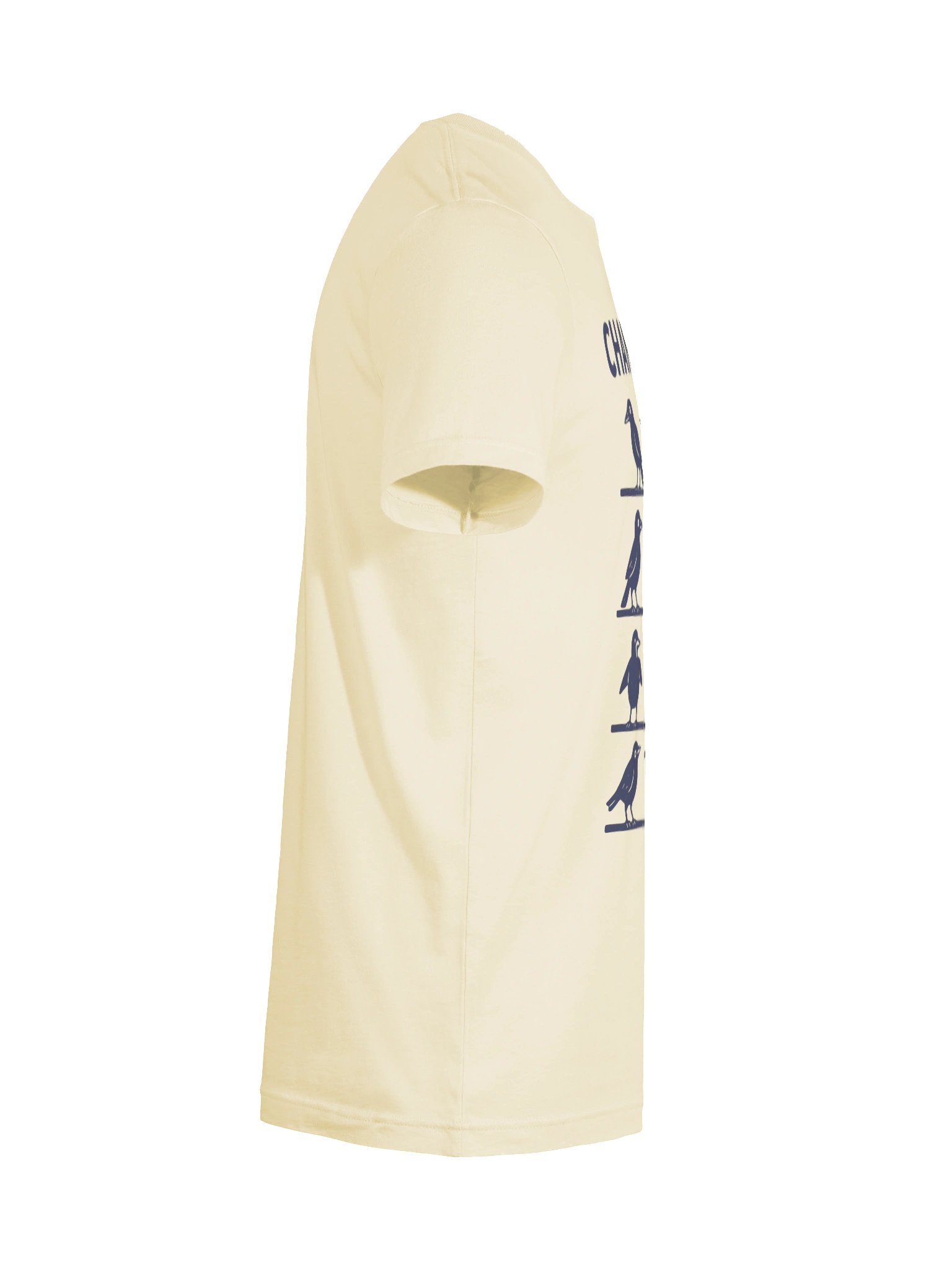 Changuería Camiseta Unisex product image (20)