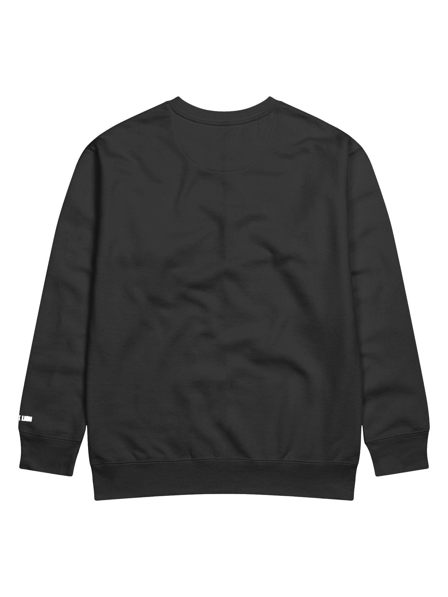 BLACK LION CHAMPION SWEATSHIRT product image (18)