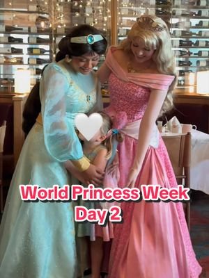 Bibbidi Bobbidi Boo Yeah! #disneyprincess #worldprincessweek #disneyfamily #disneyland #athomewithbryan 