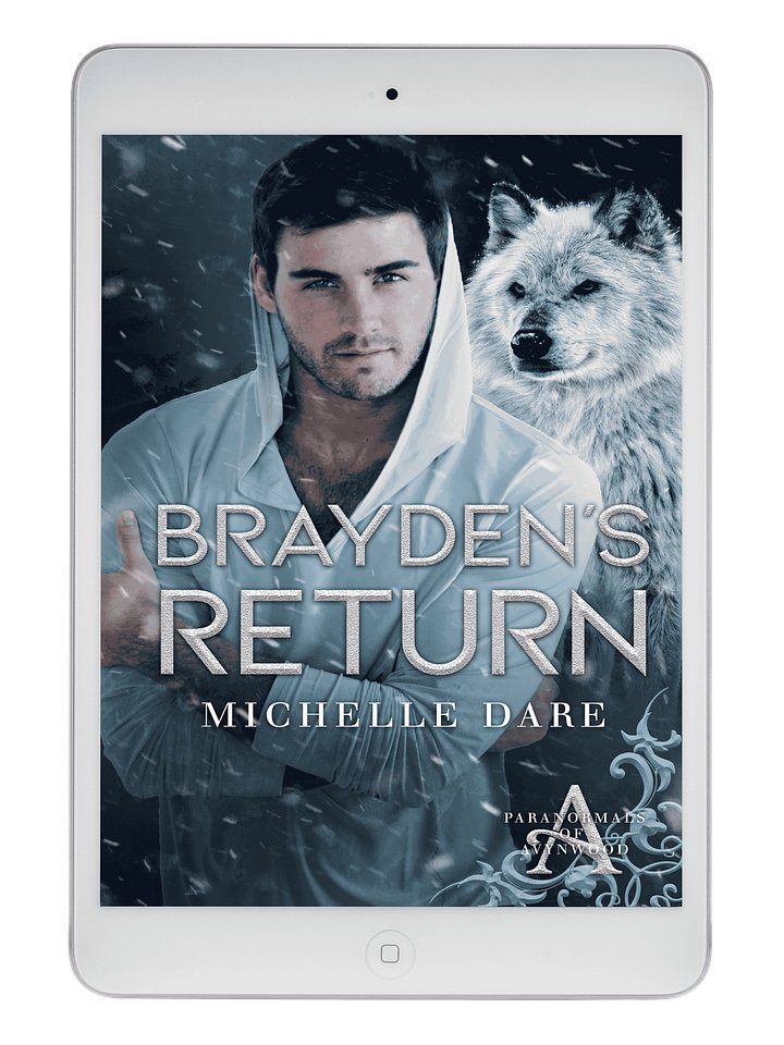 Brayden's Return product image (1)