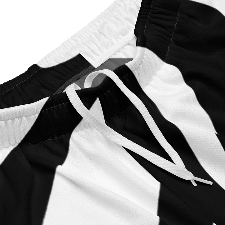 Zebra Mode Standard Mens Athletic Shorts product image (2)