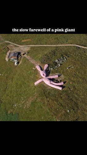 in 2005, a group of viennese artists known as gelitin placed a massive 200-foot-long (about 60 meter) pink bunny named hase w...