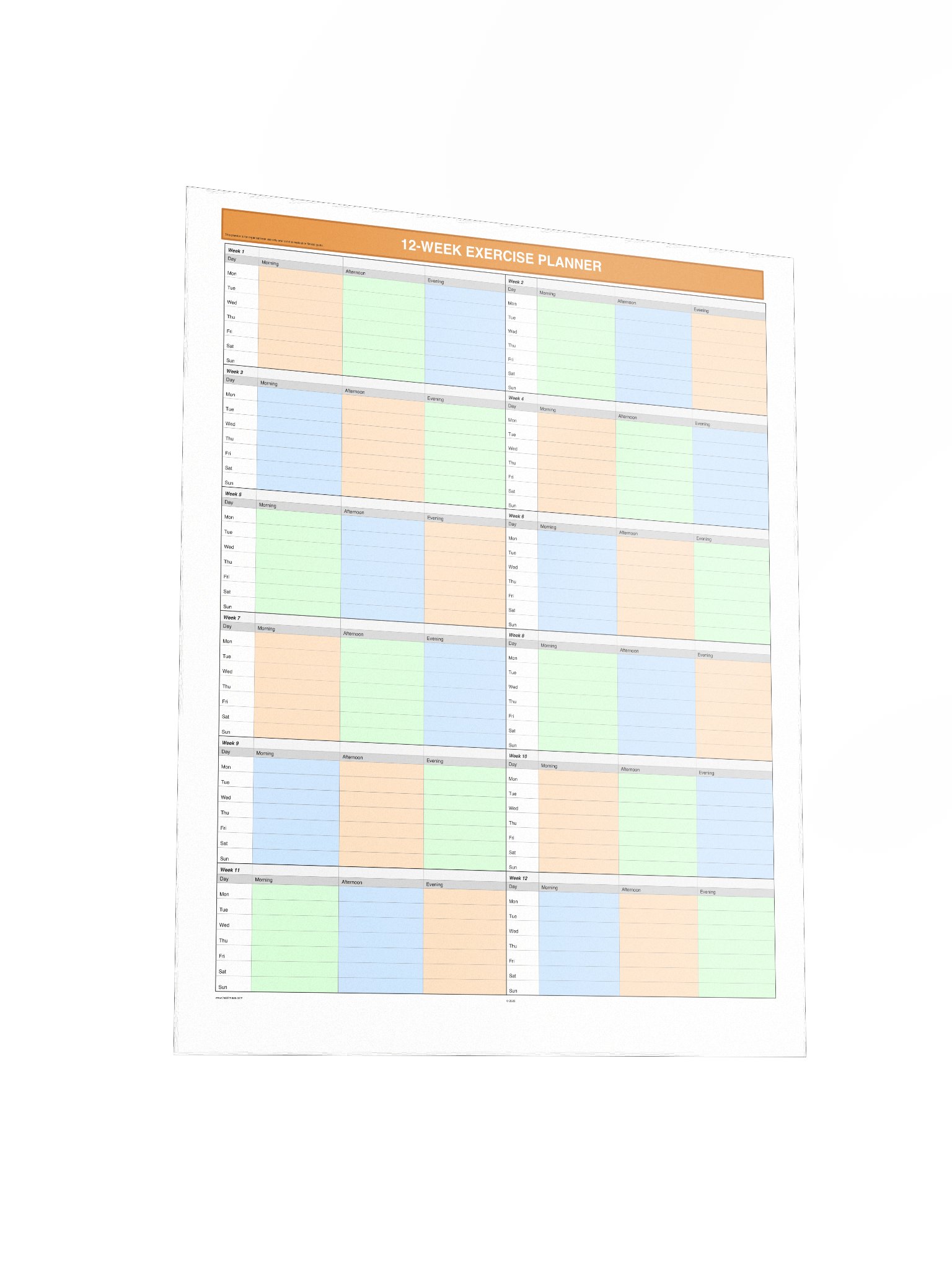 12 Week Exercise Planner product image (4)
