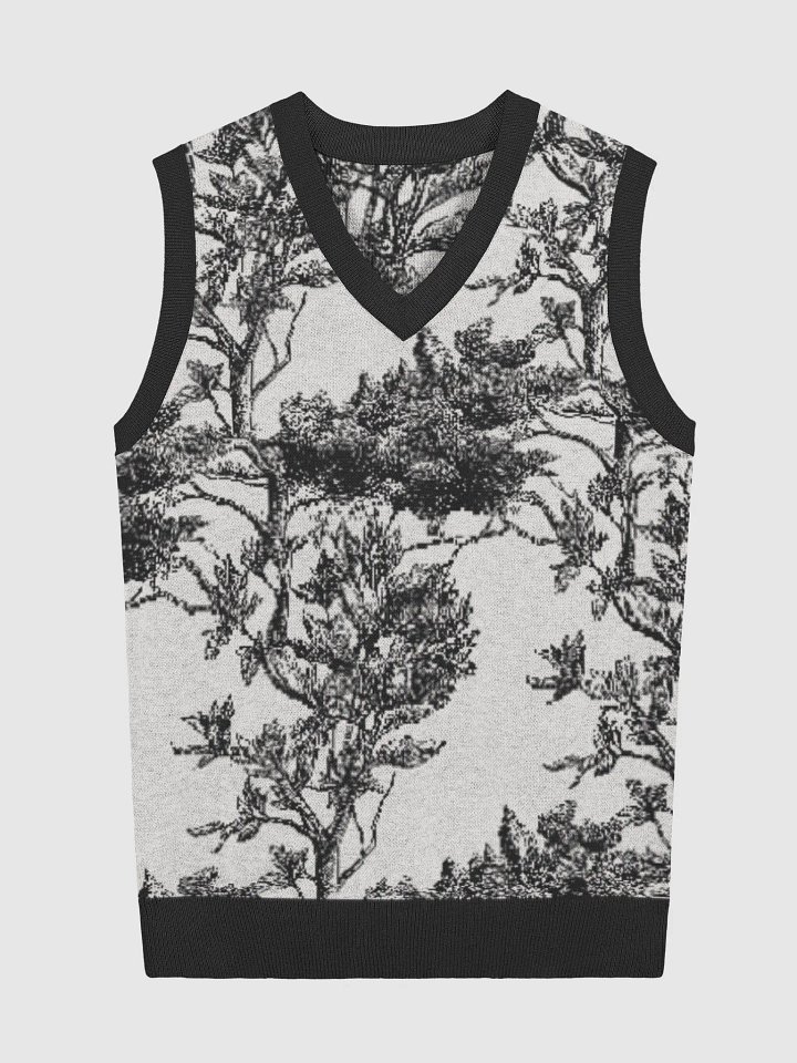 Blossom Knitted V-Neck Vest product image (1)