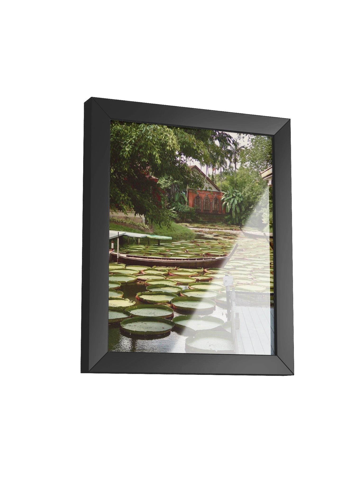 Phuket Lily Pad product image (18)