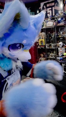 Absolute pure focus from our boy

#furry #furryfandom #furrycommunity #furrytiktok #funnyvideos
