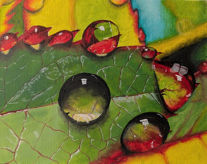 Droplets on a Leaf product image (1)