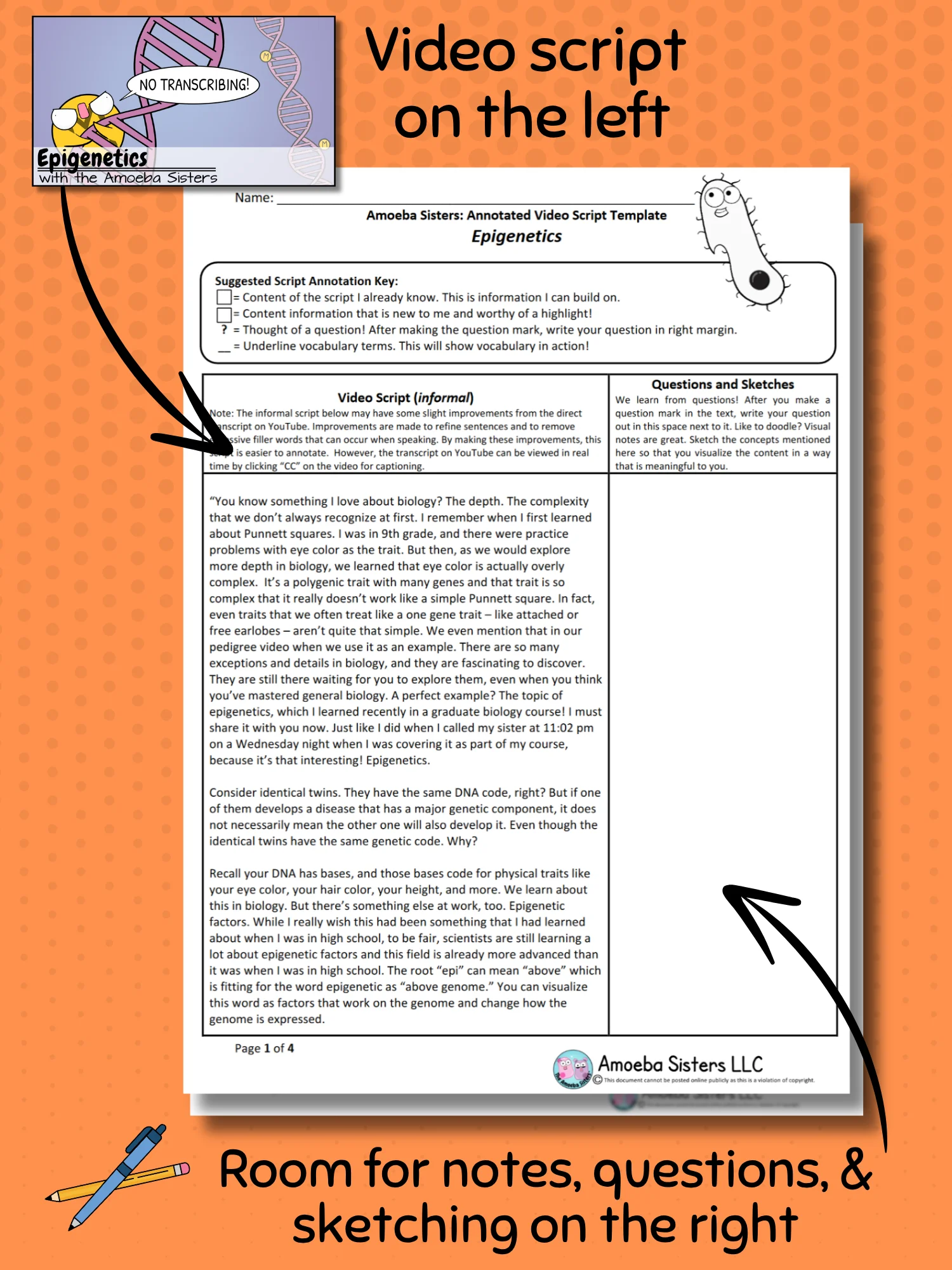 Amoeba Sisters Epigenetics Annotated Video Script Template PDF product image (2)