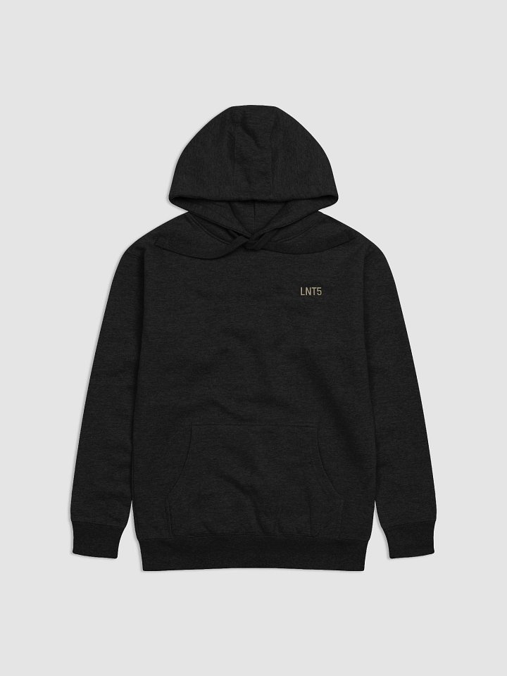 LNT5 Hoodie – QUESTION EVERYTHING product image (3)