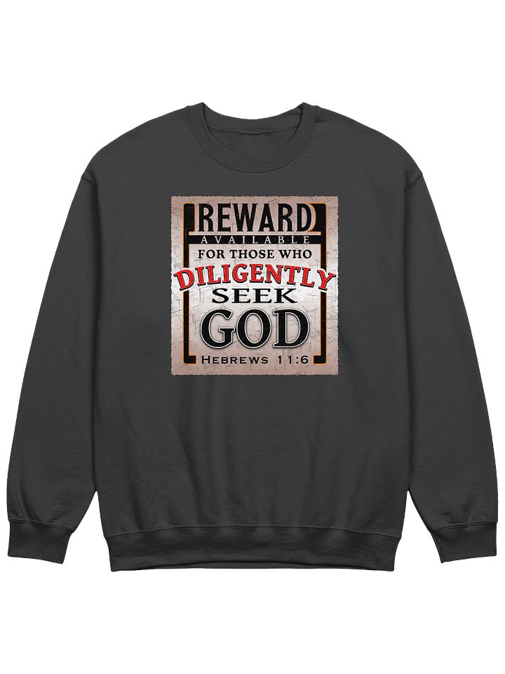 Reward For Those Who Diligently Seek God Sweatshirt product image (1)