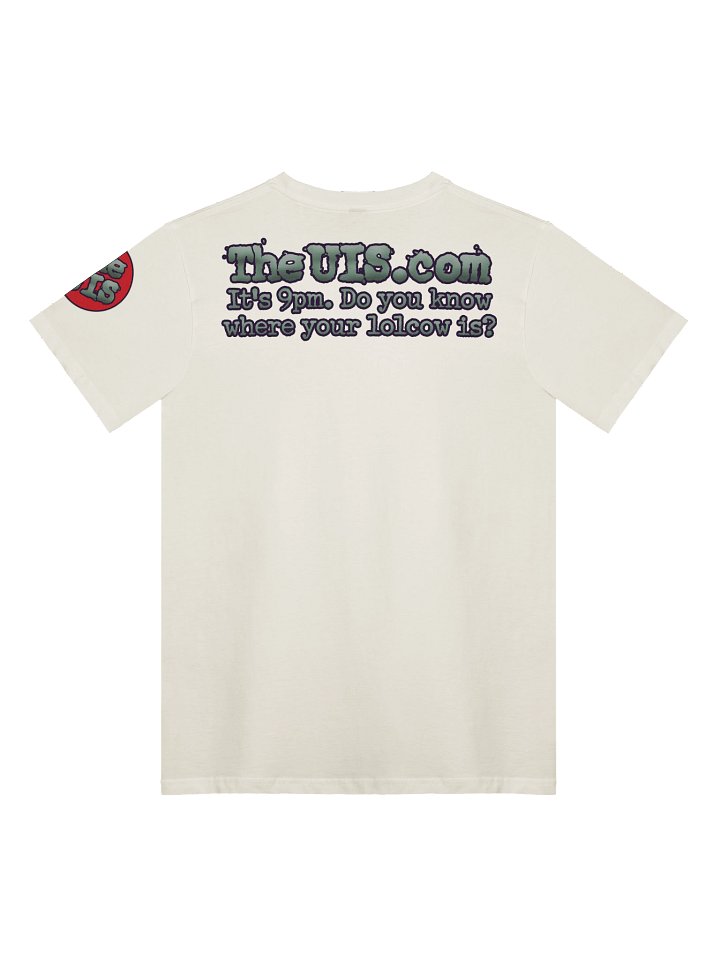 He Ain't No 43 - Premium Unisex T-Shirt product image (22)