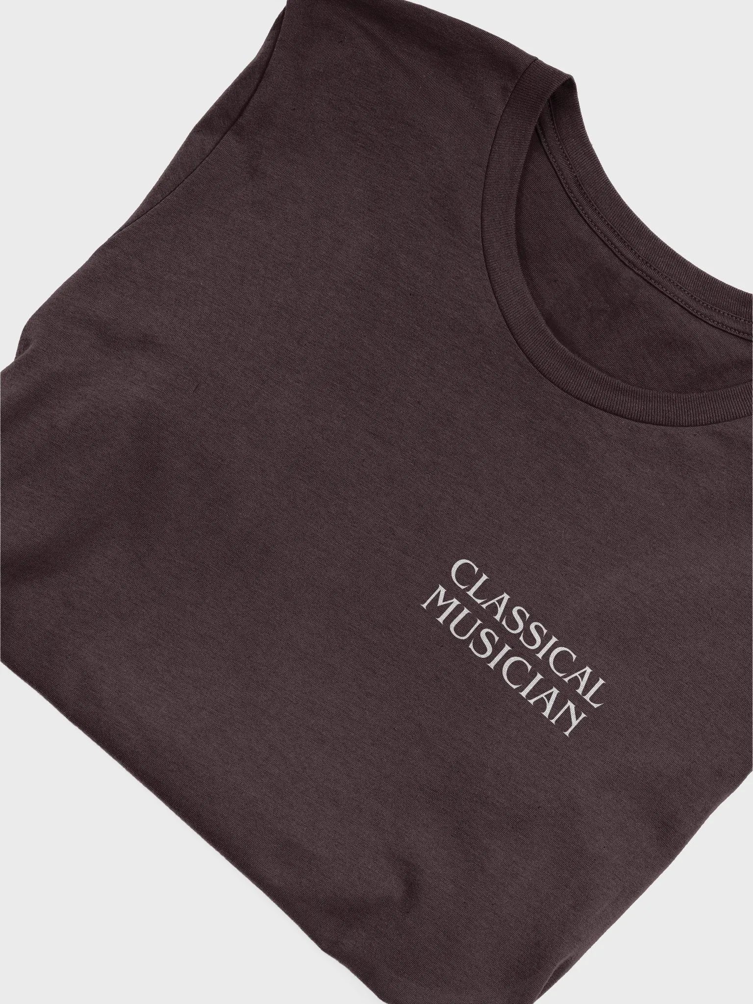 Franz Liszt - Rockstar | T-Shirt (Backprint) product image (5)
