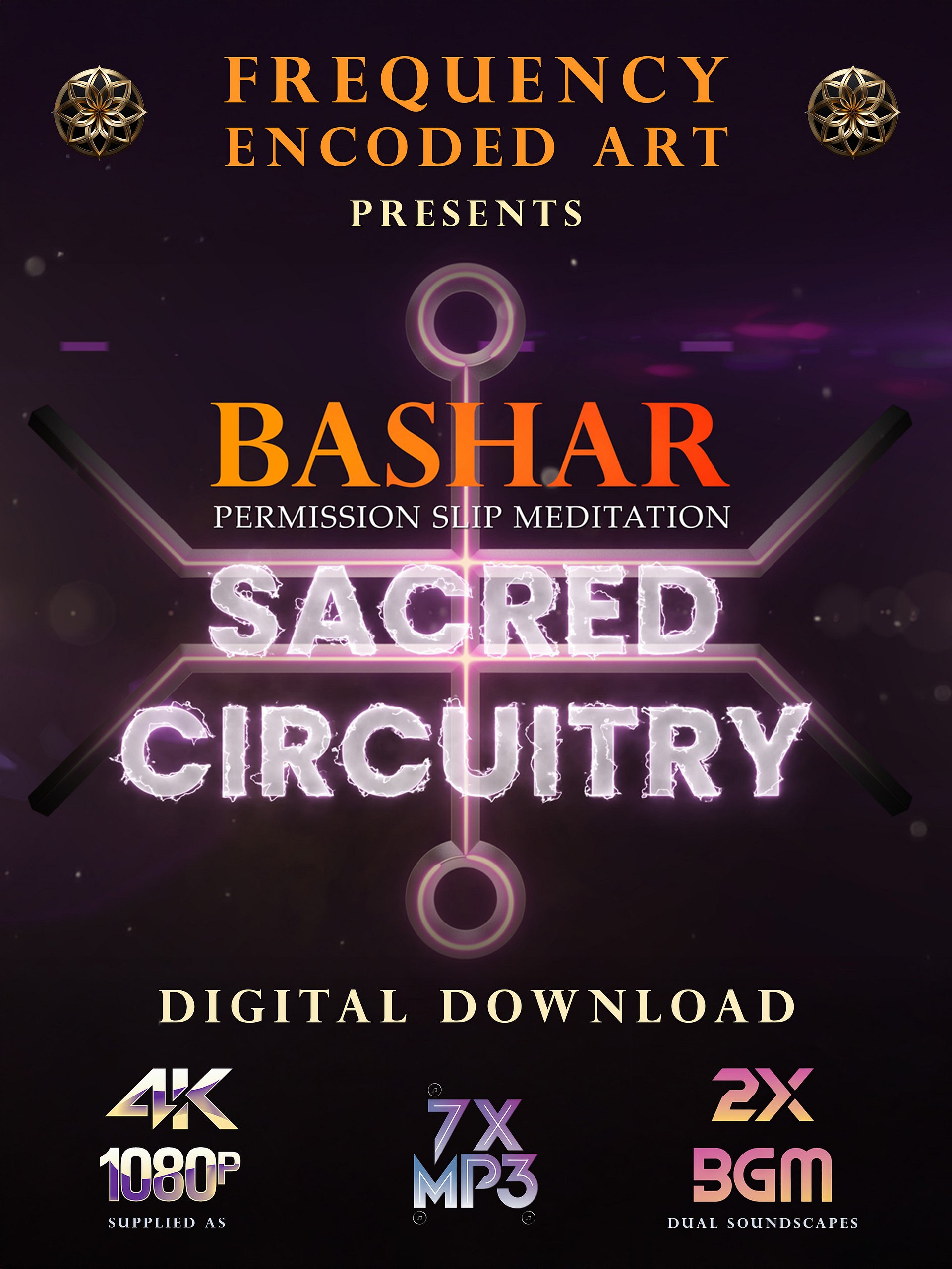 Sacred Circuits Animated Meditation Video | Digital Download for Mindfulness, Neuroplasticity, & Spiritual Awakening | Bashar's Gift product image (8)
