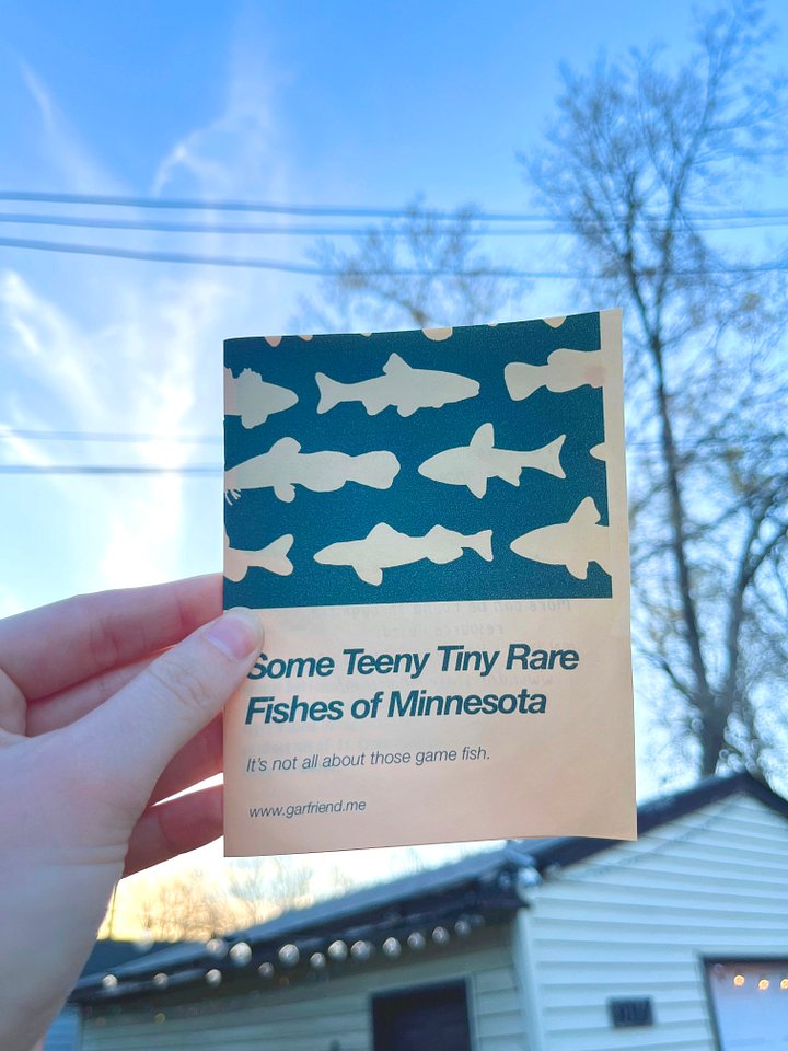 Some Teeny Tiny Rare Fishes of Minnesota zine product image (1)