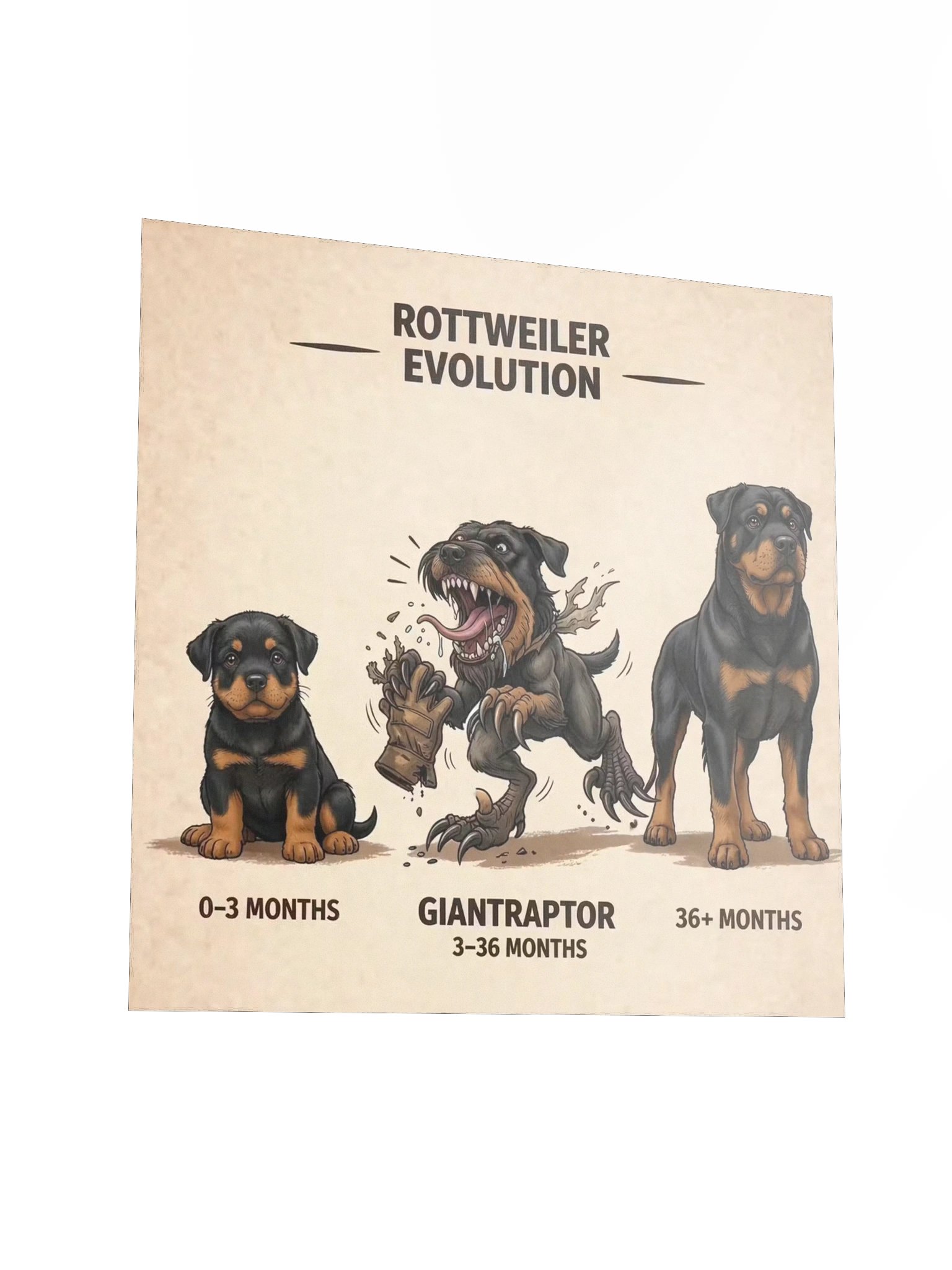 Rottweiler Evolution Poster product image (6)