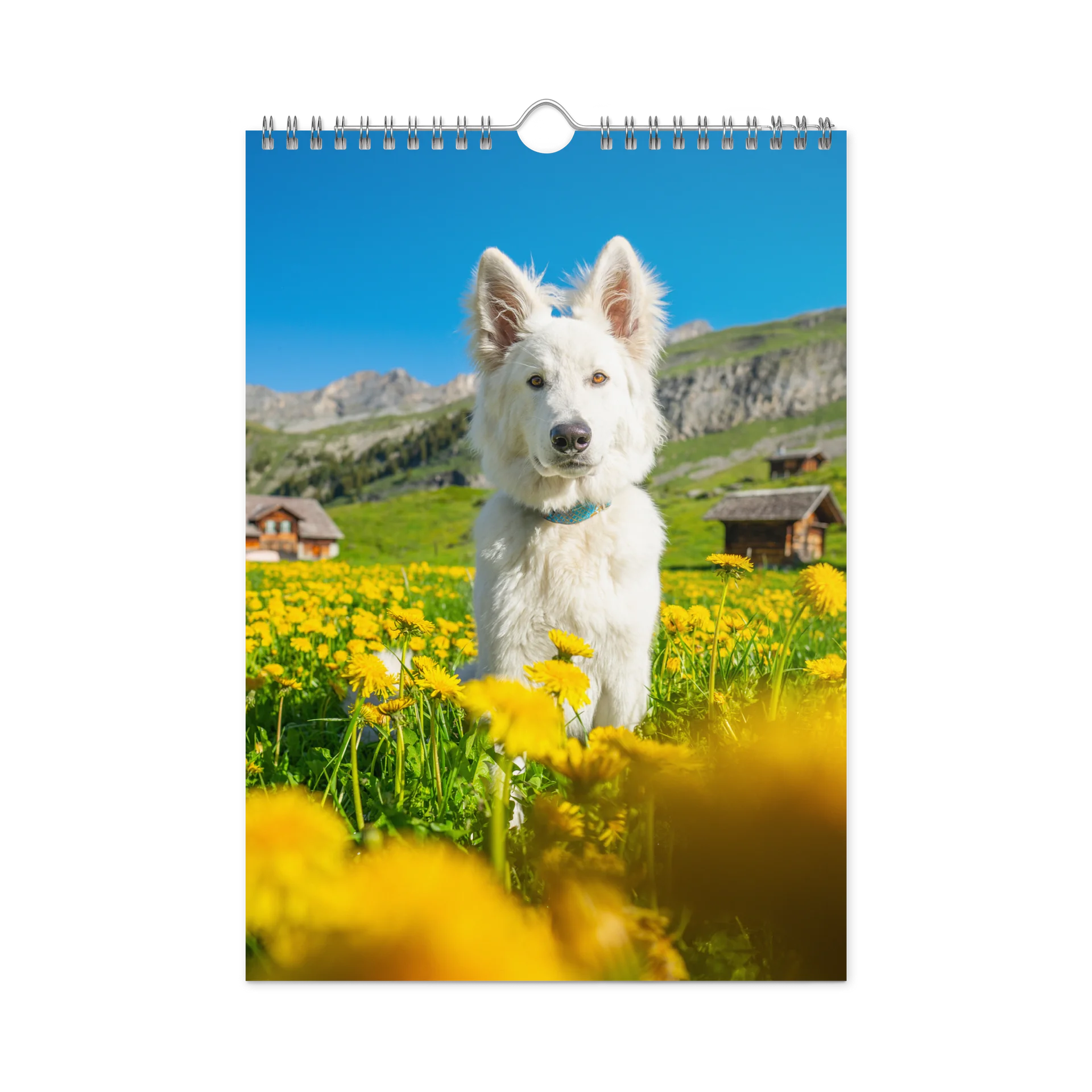 Lil Rasta Calendar 2027 product image (1)