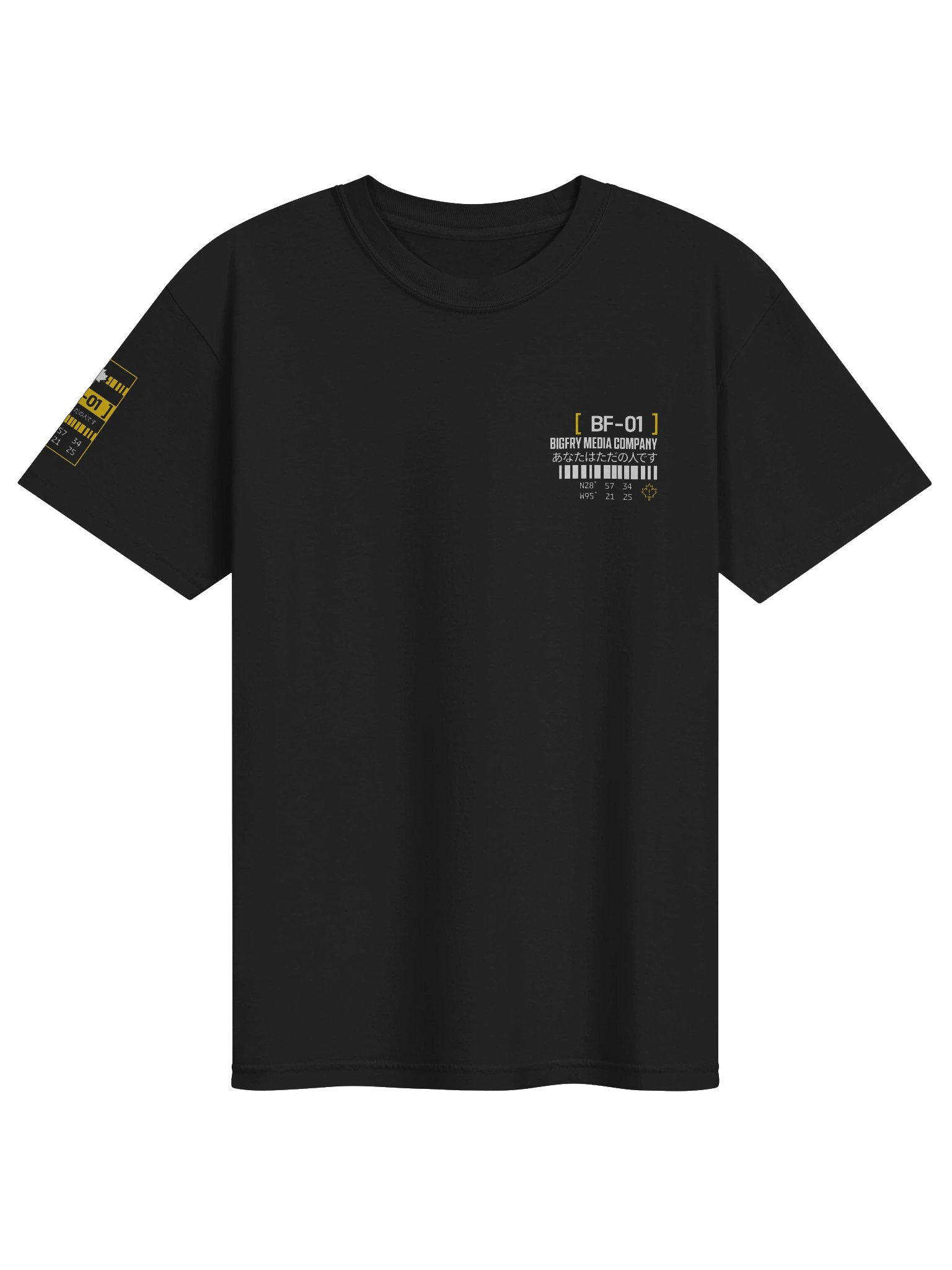 BIGFRY MEDIA CO. | EARLY ACCESS product image (1)