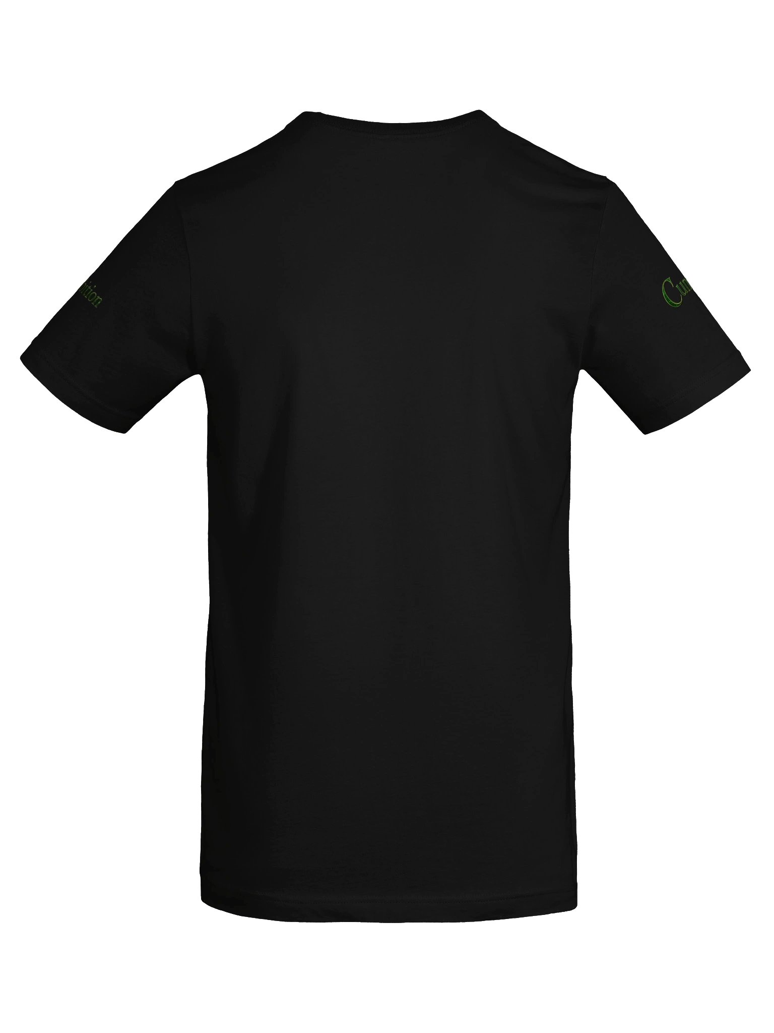 Vintage Wizarding House Collection – Proud to Be Slytherin T-Shirt product image (6)