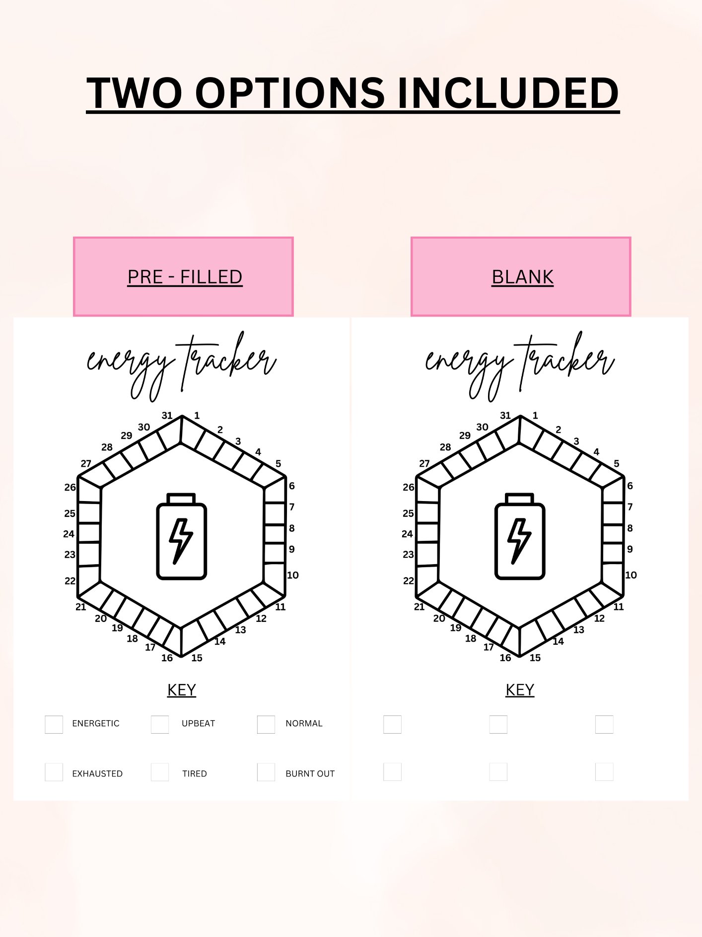 Monthly Energy Tracker product image (2)