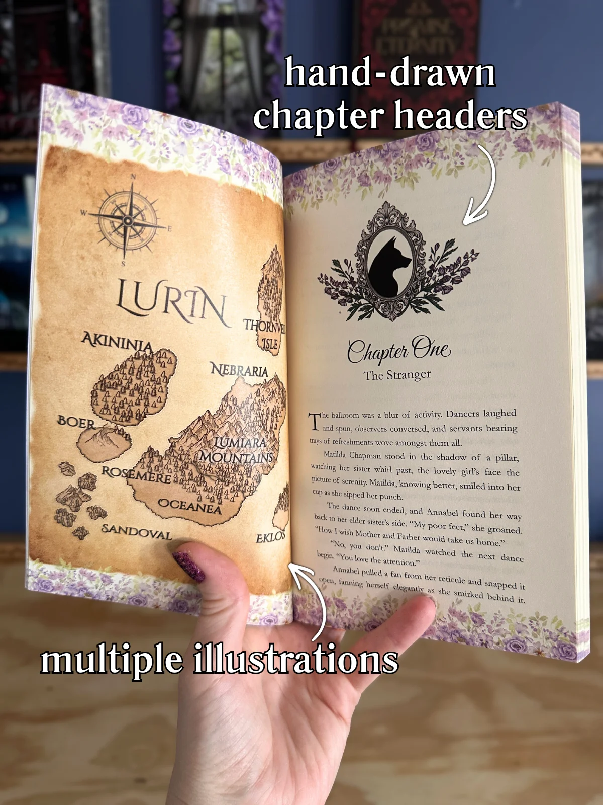 Witches and Wolves signed deluxe paperback product image (4)