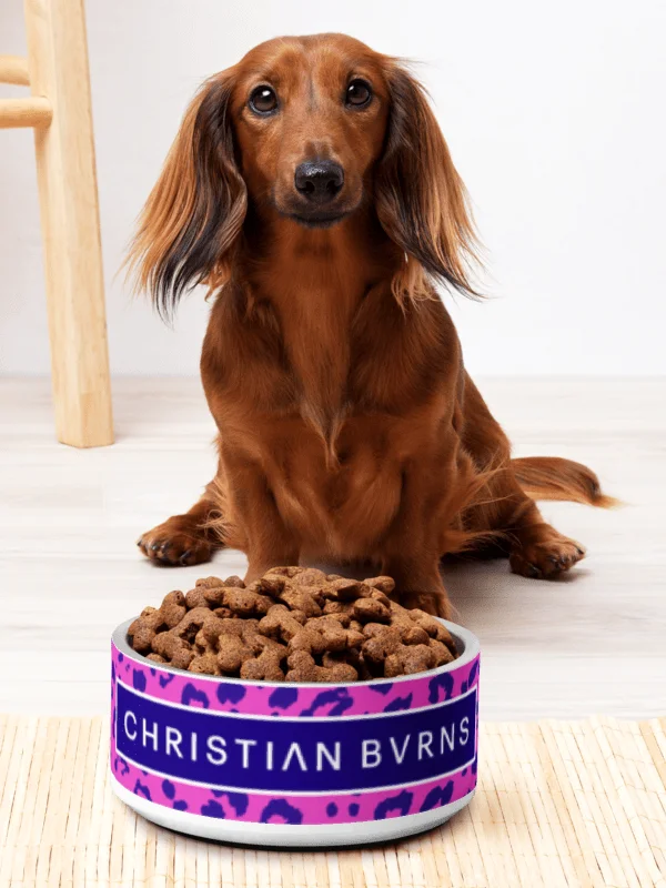 CB Pet Bowl Pink product image (2)