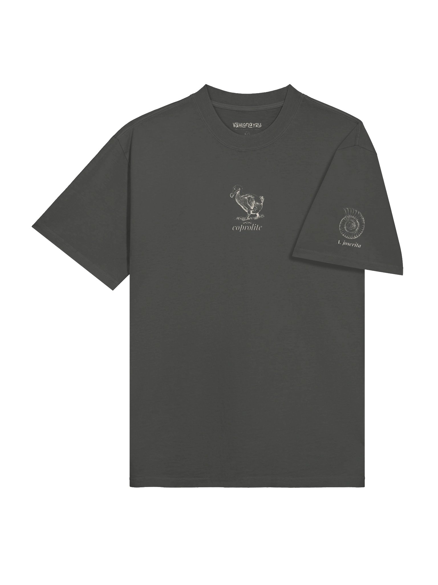 Coprolite Faded T-Shirt product image (4)