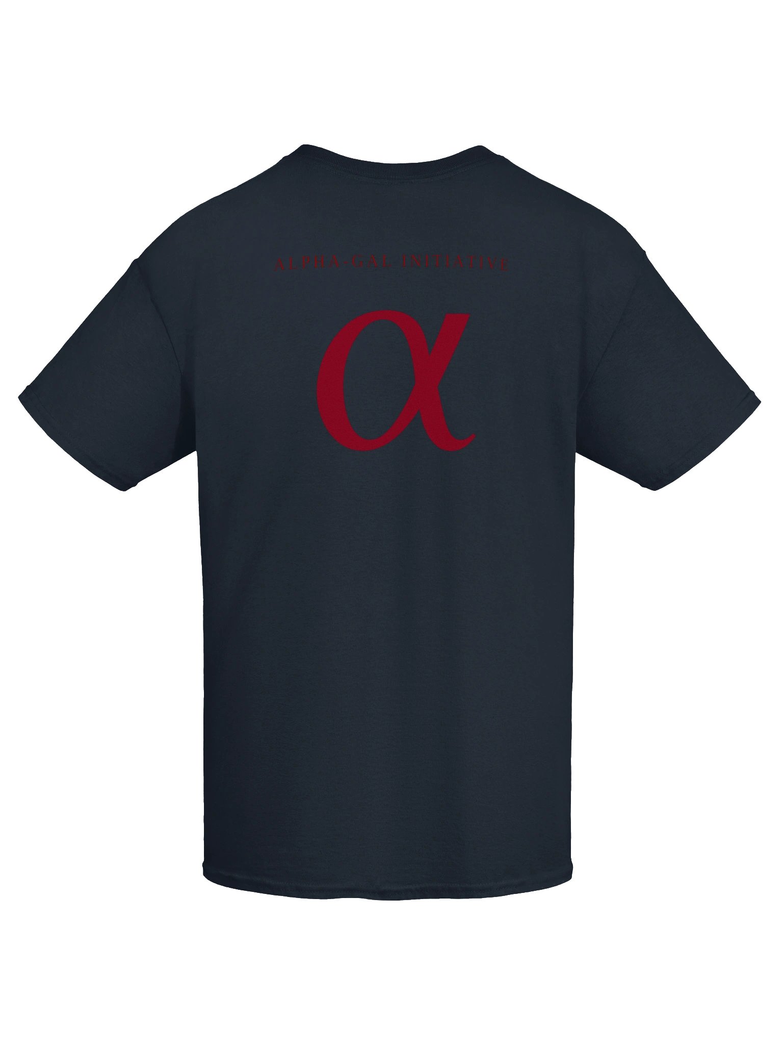 Navy / Oxblood Unisex Heavyweight T-Shirt product image (7)