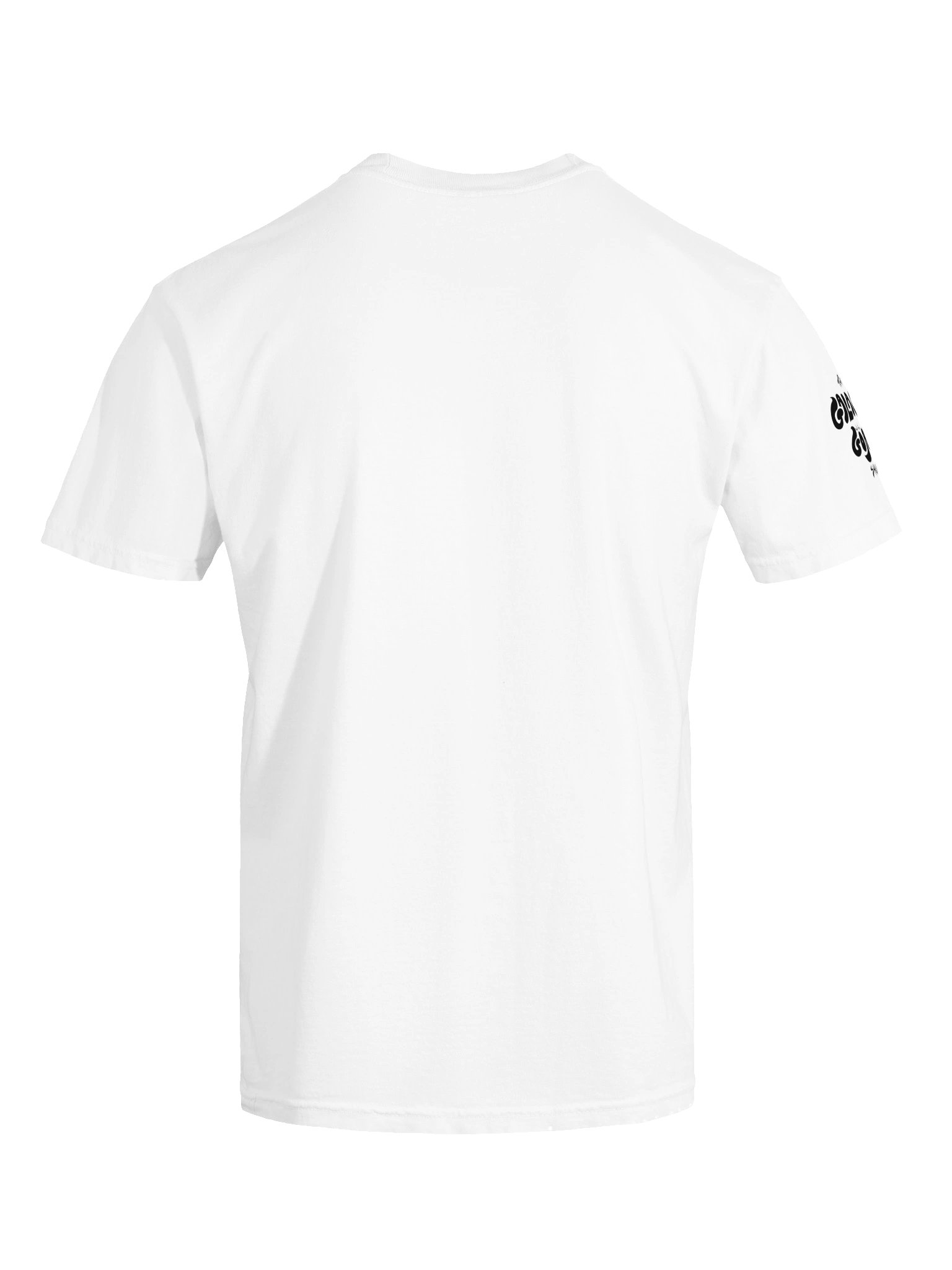 P.P.E. Tee product image (11)