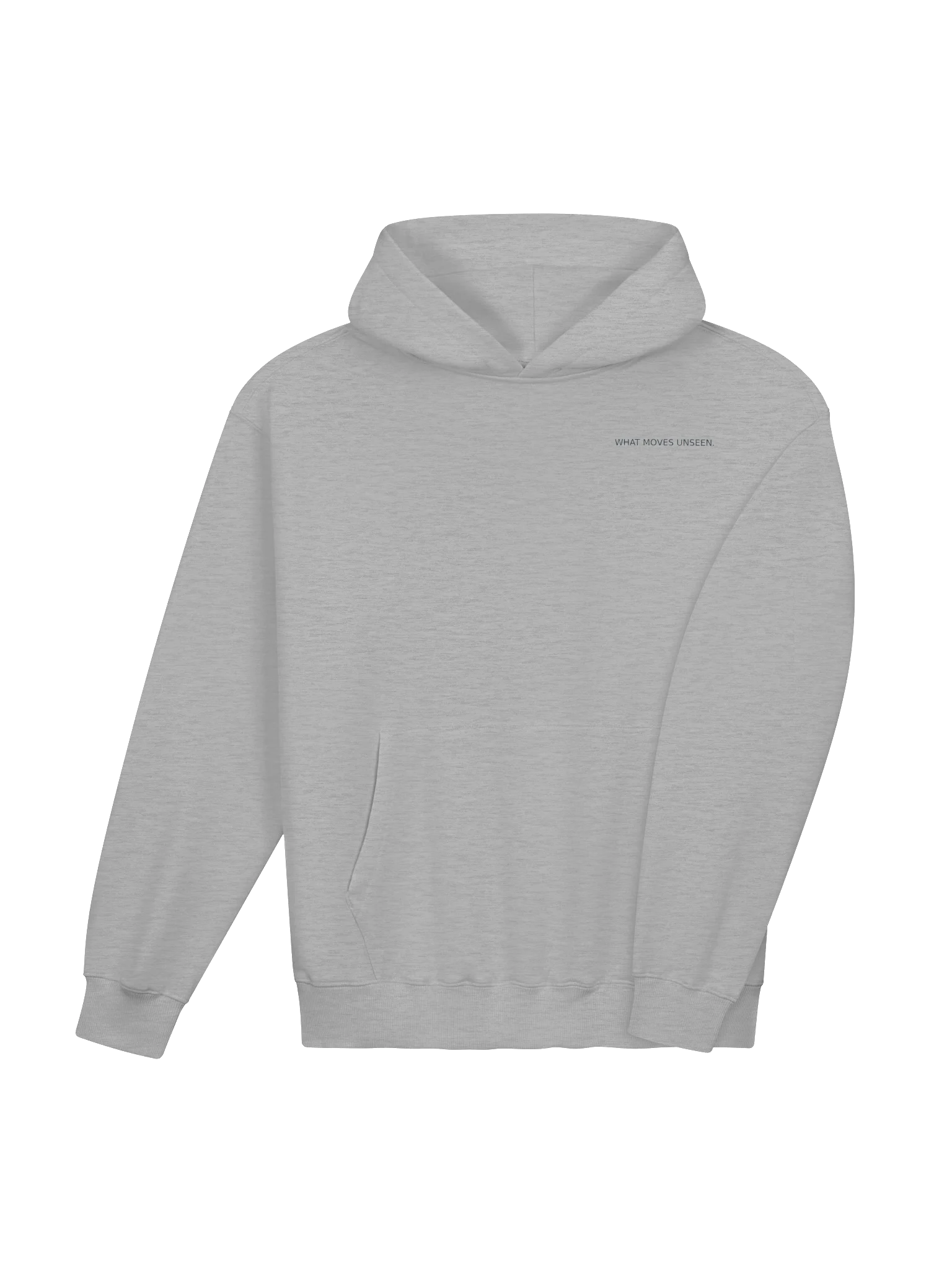 What Moves Unseen — Premium Heavyweight Hoodie product image (7)