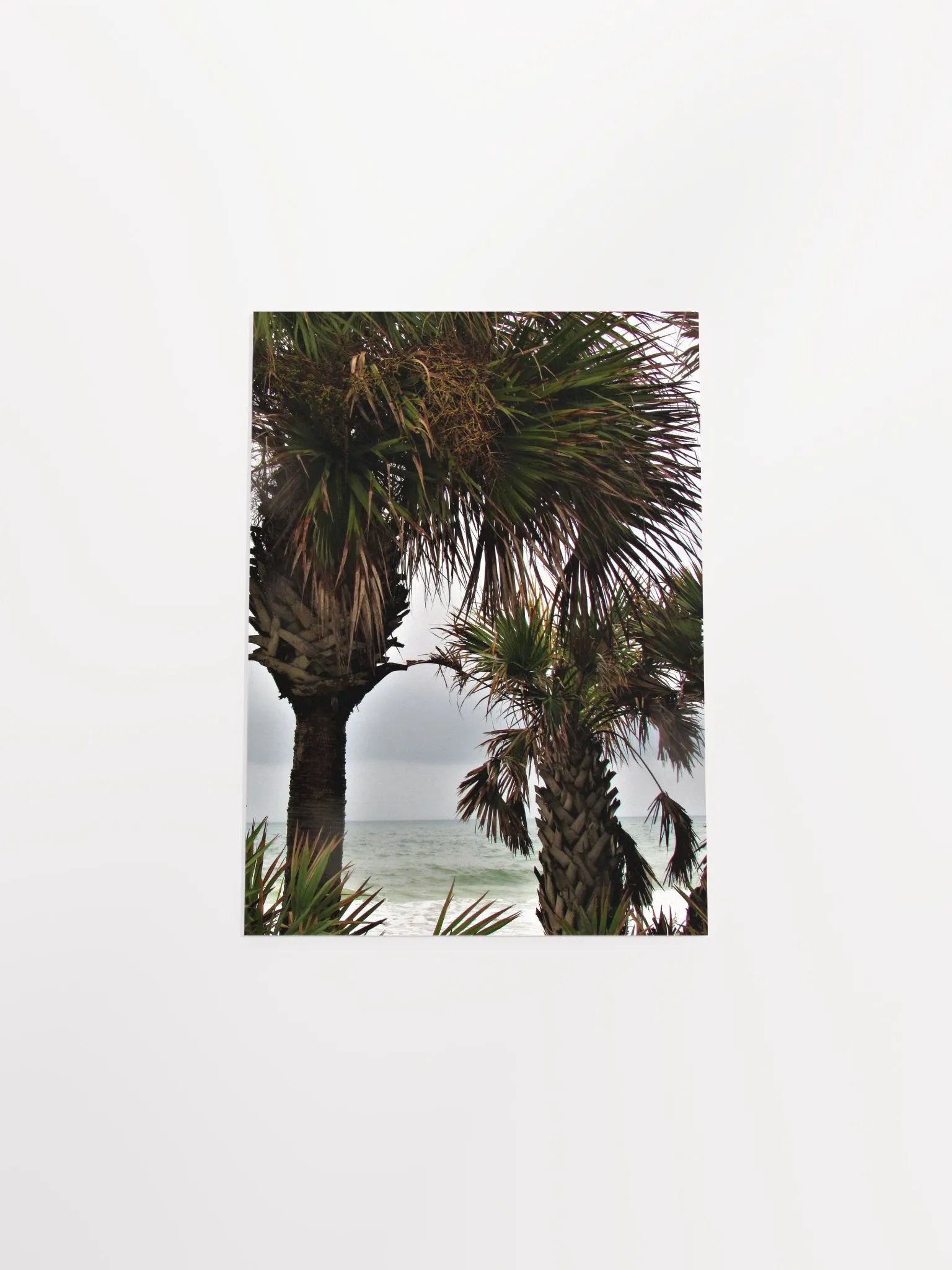 Ormond Beach 3 product image (28)