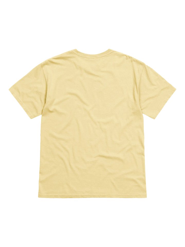 I Manifest My Reality T-Shirth product image (2)