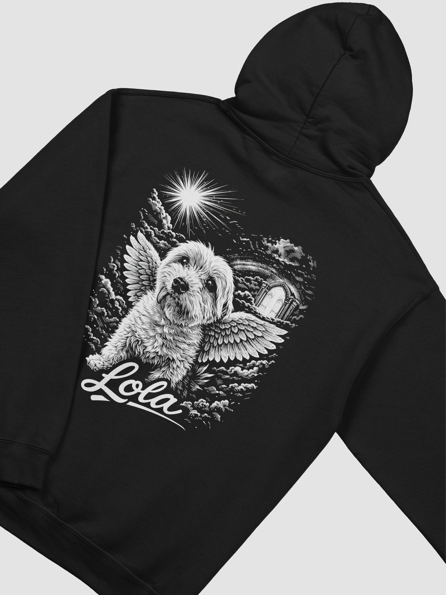 Lola's Angelic Flight Hoodie product image (4)