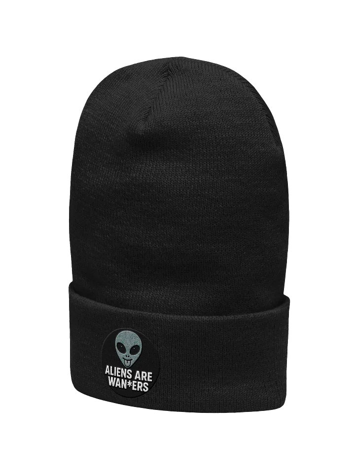 ALIENS ARE WAN*ERS BEANIE product image (2)