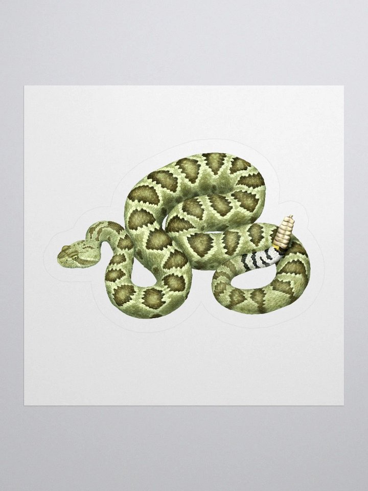 Die-Cut Sticker – Mojave Rattlesnake (Green) product image (1)